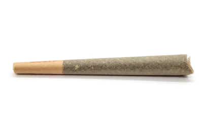 Photograph of product: Rare Michigan - Great White Pre Roll