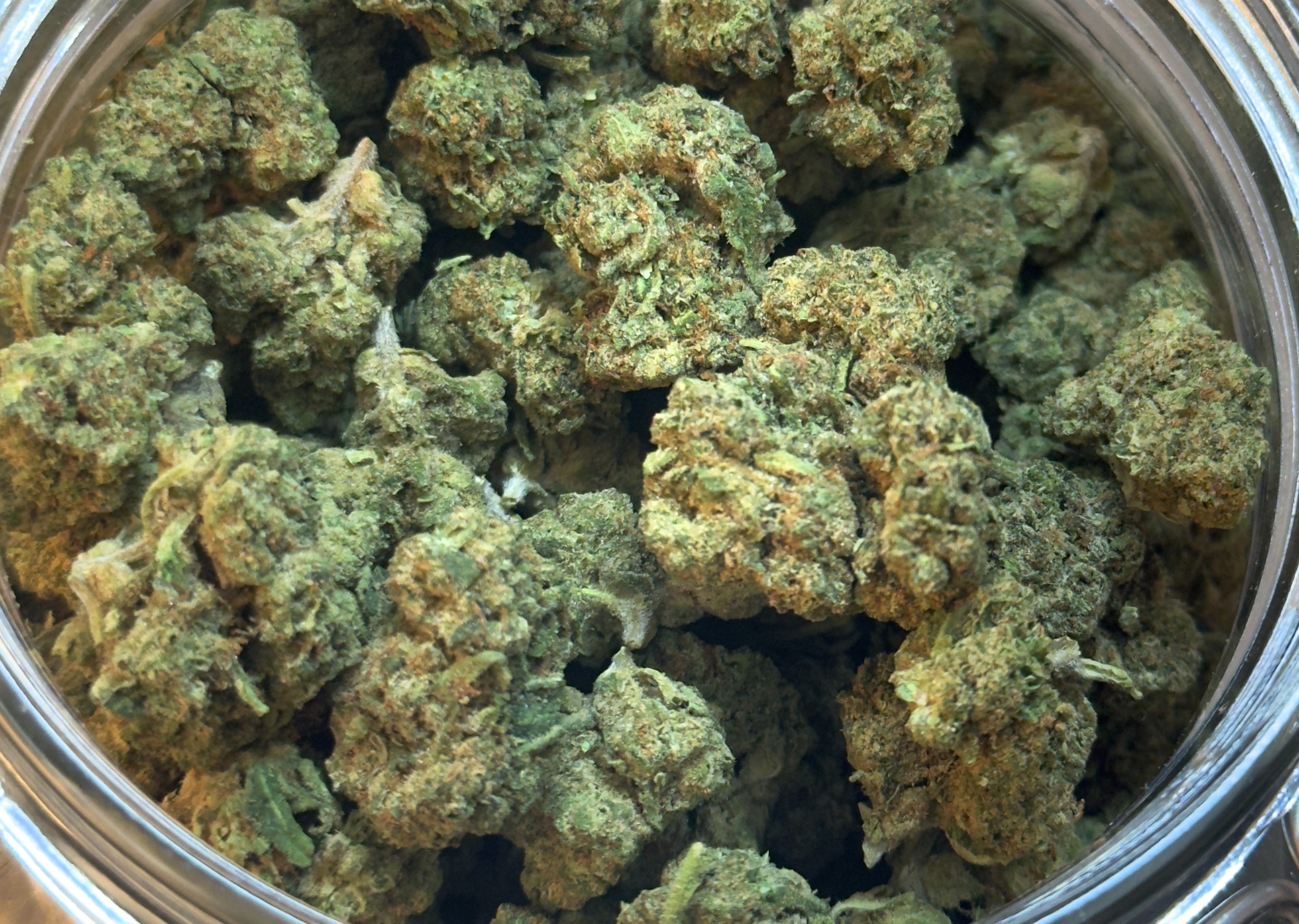 Photograph of product: Apple Fritter - Orion's Garden - 1g