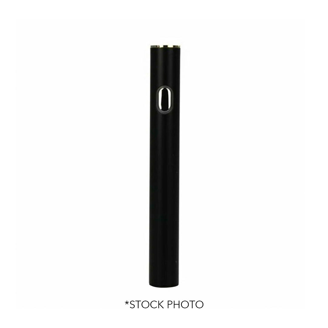 Photograph of product: Standard Stick Battery