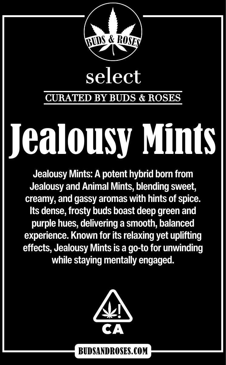 Photograph of product: Preroll 5pk - Jealousy Mints