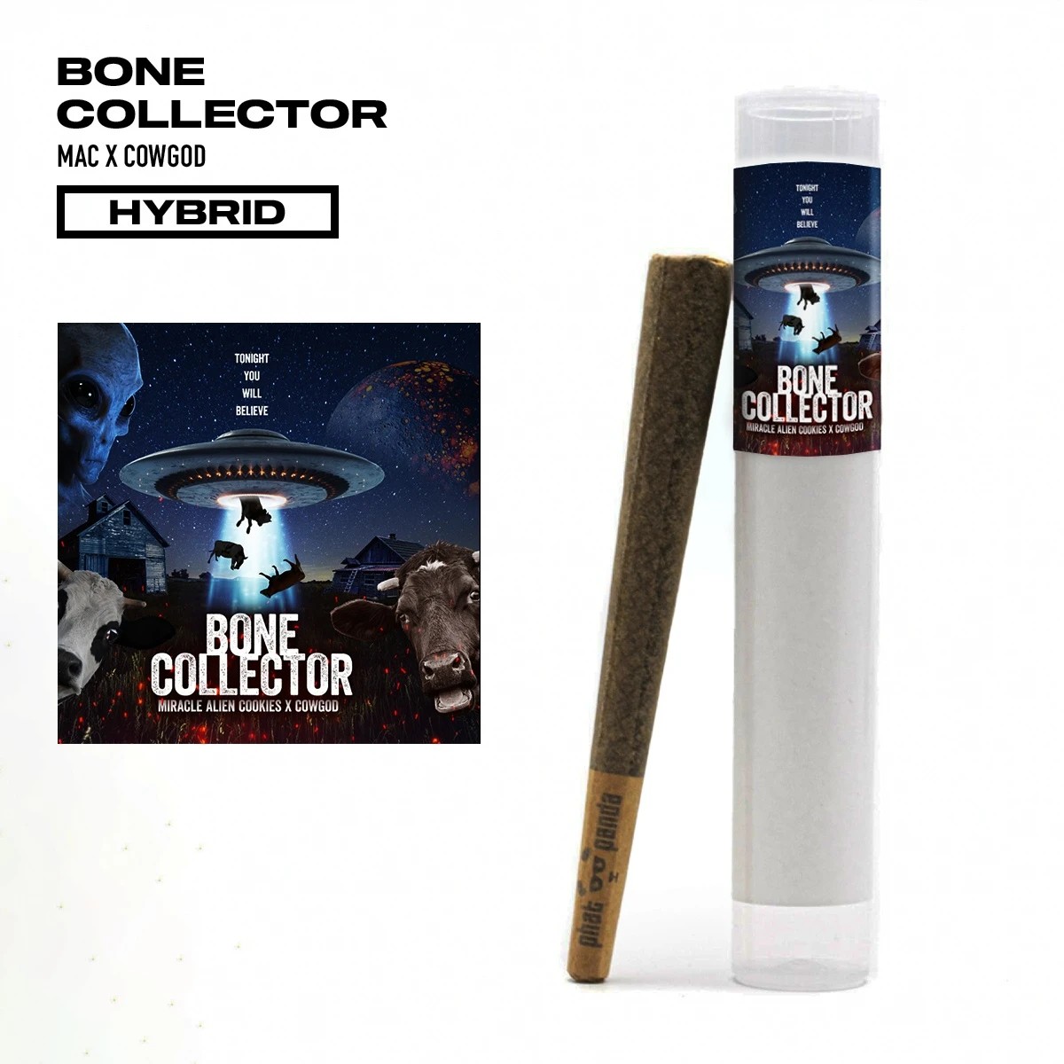 Photograph of product: Bone Collector [DOH] - by Phat Panda
