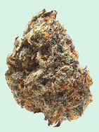 Photograph of product: SunMed | Sunshine #4 Buds - 28g