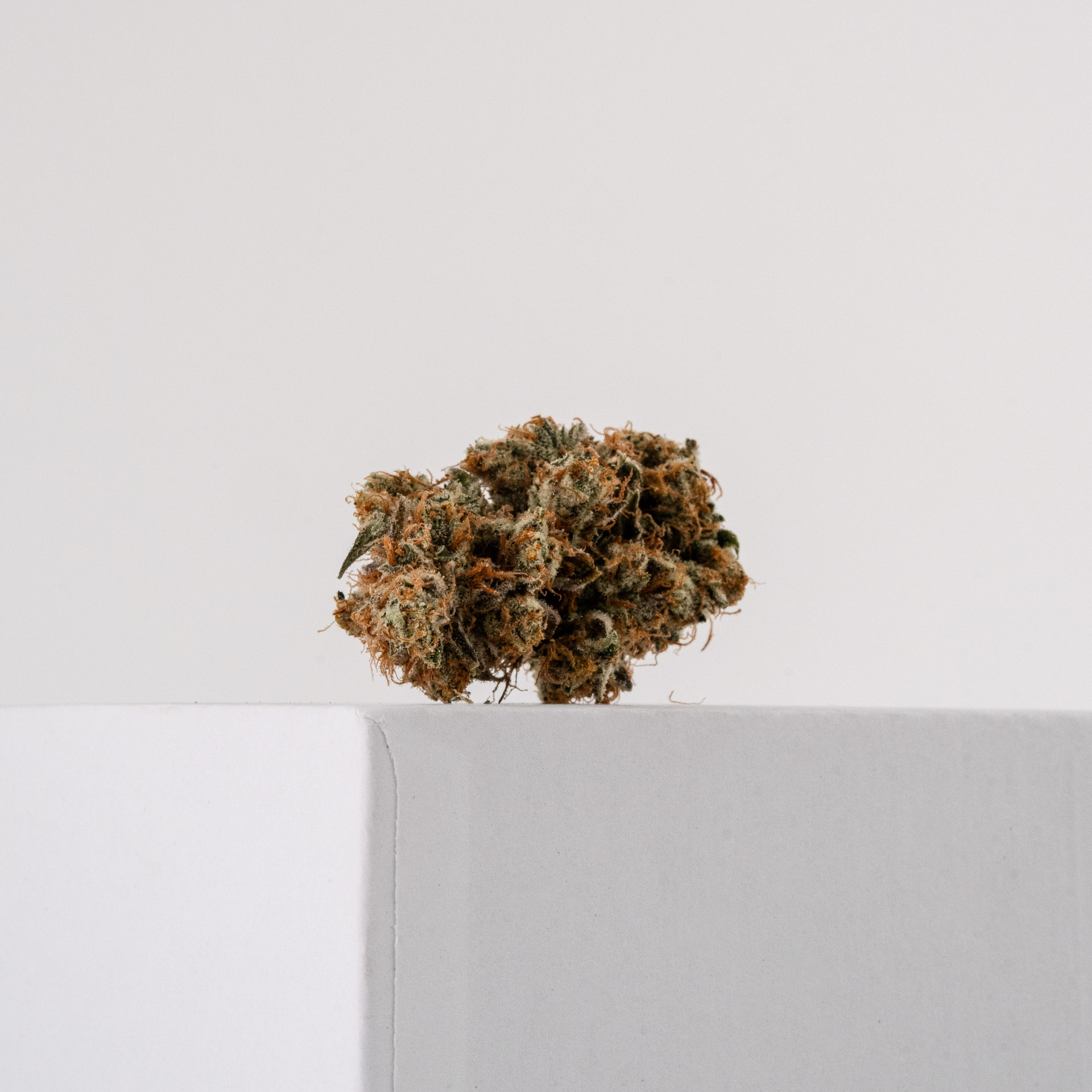 Photograph of product: Grease Monkey - 28g