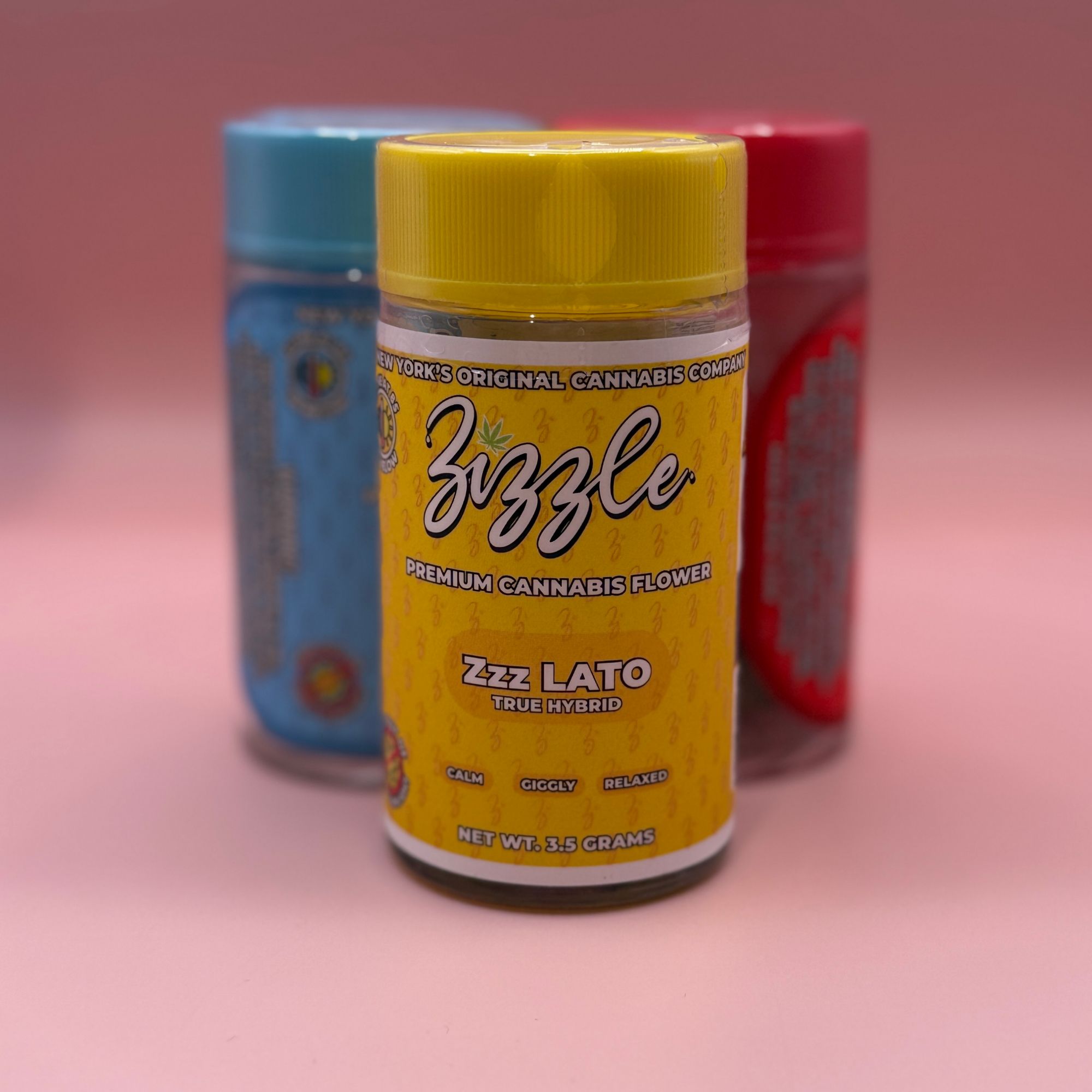 Photograph of product: Zizzle | Flower | Zzz Lato | True Hybrid - 3.5g