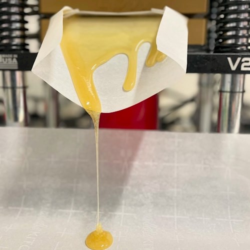 Photograph of product: Banana Jealousy Rosin | 1g