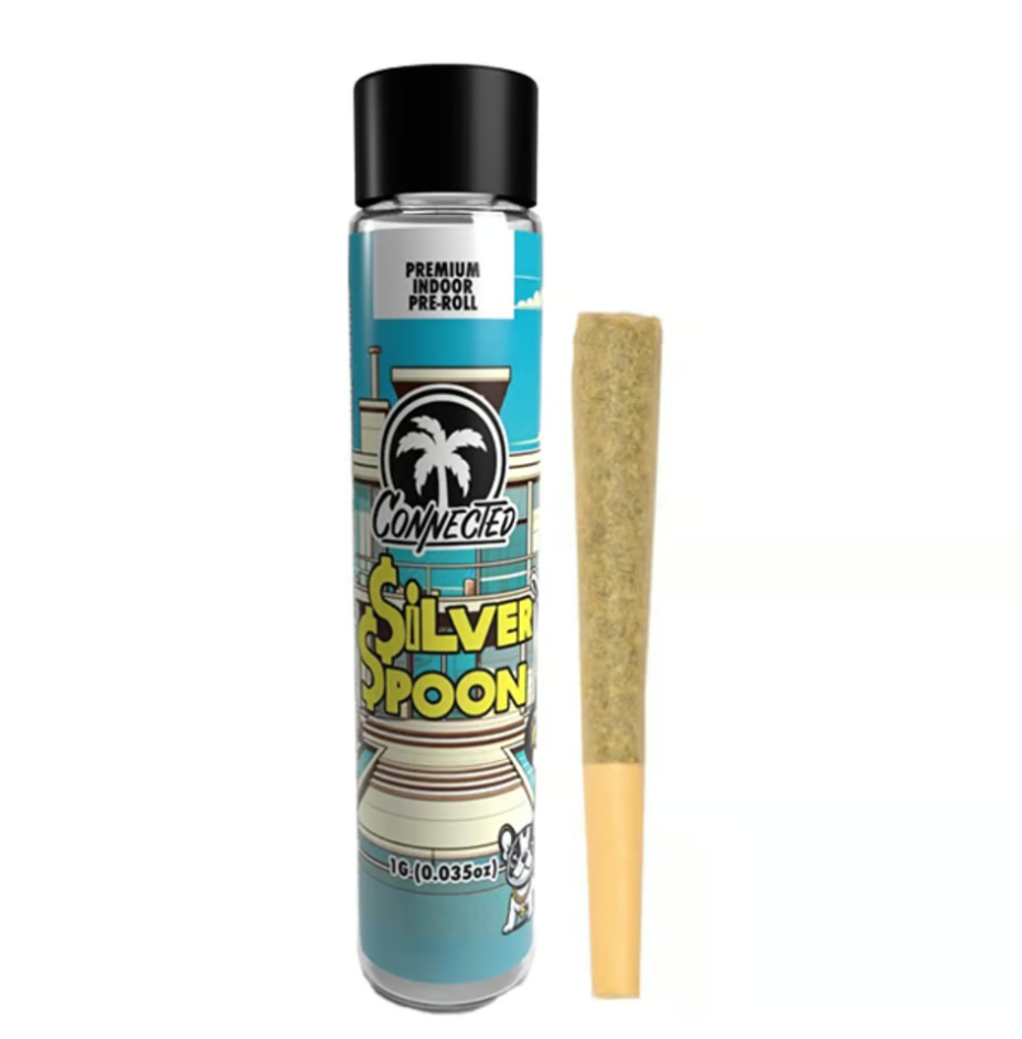 Photograph of product: SILVER SPOON - 1G