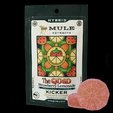 Photograph of product: Mule -  Strawberry Lemonade - The Quad
