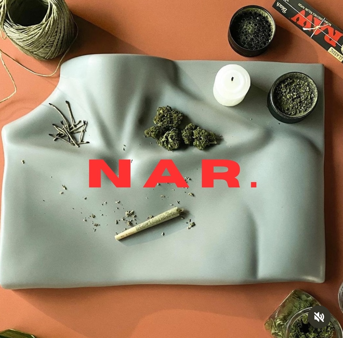 Photograph of product: NAR Indoor 0.5G Pre-Roll 2 Pack Mendo Breath 24.55%TH-oui