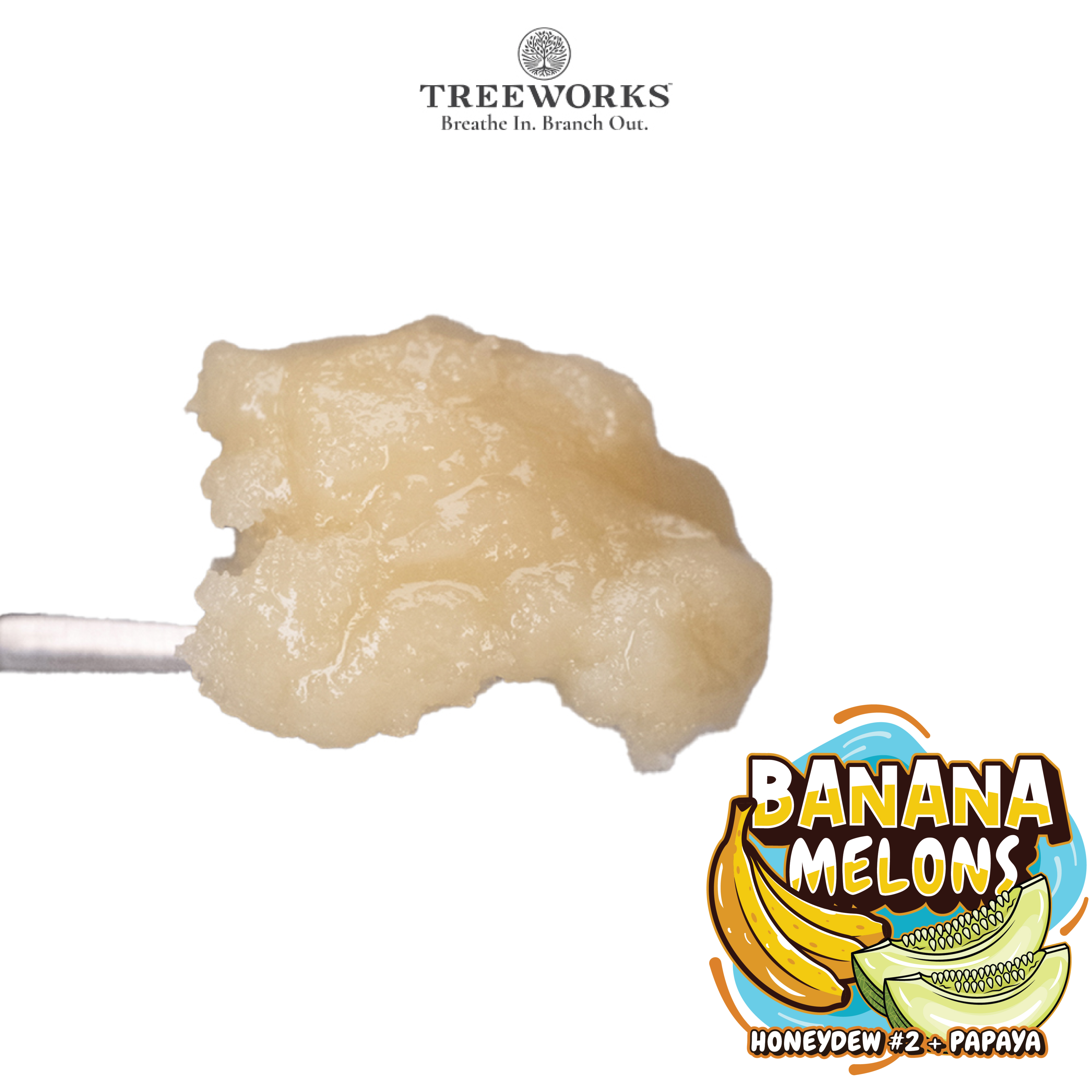 Photograph of product: 1g Banana Melons | Live Rosin