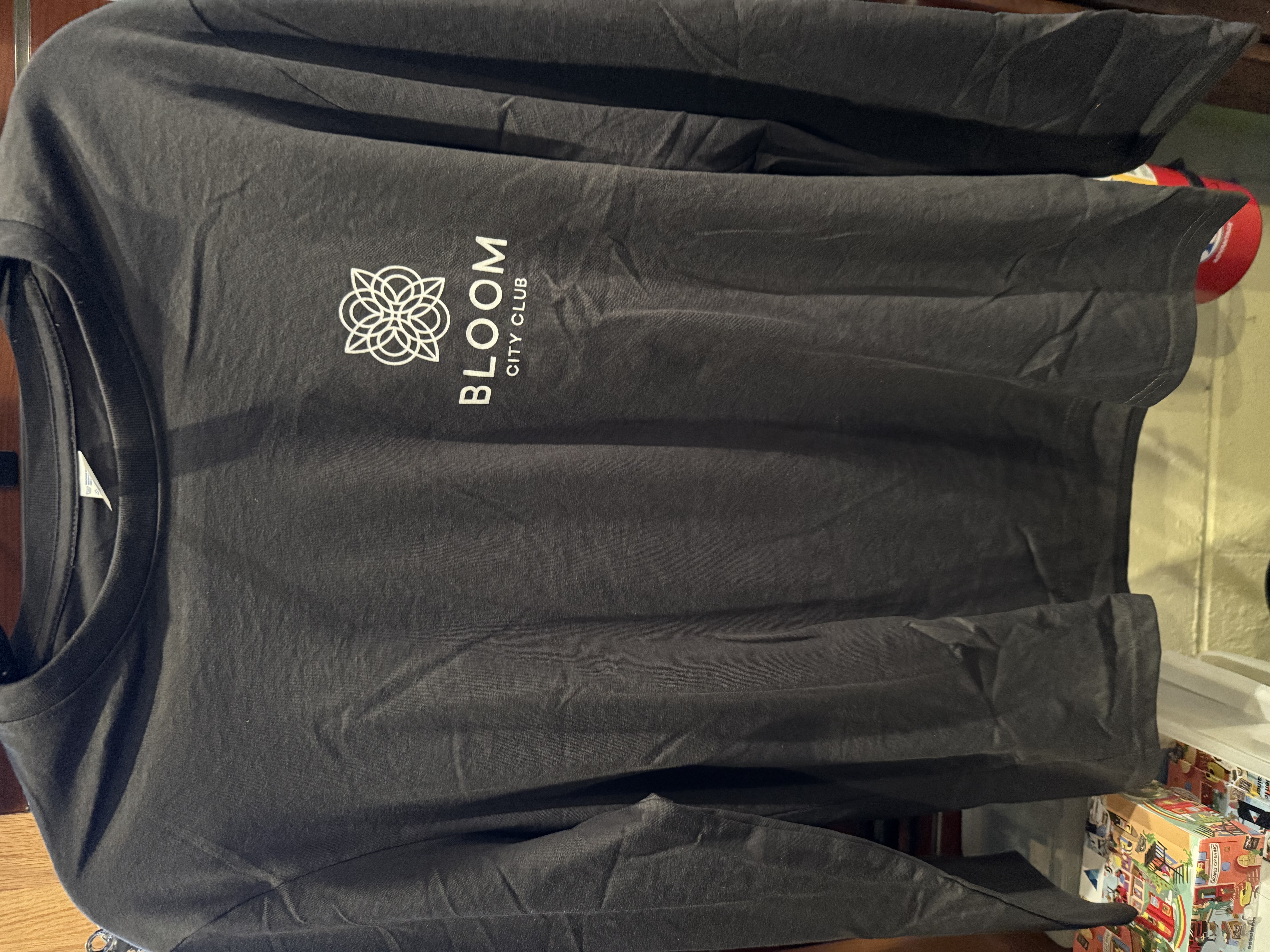 Photograph of product: Apparel | Goddess T-Shirt | Gray | XL | Bloom Brand