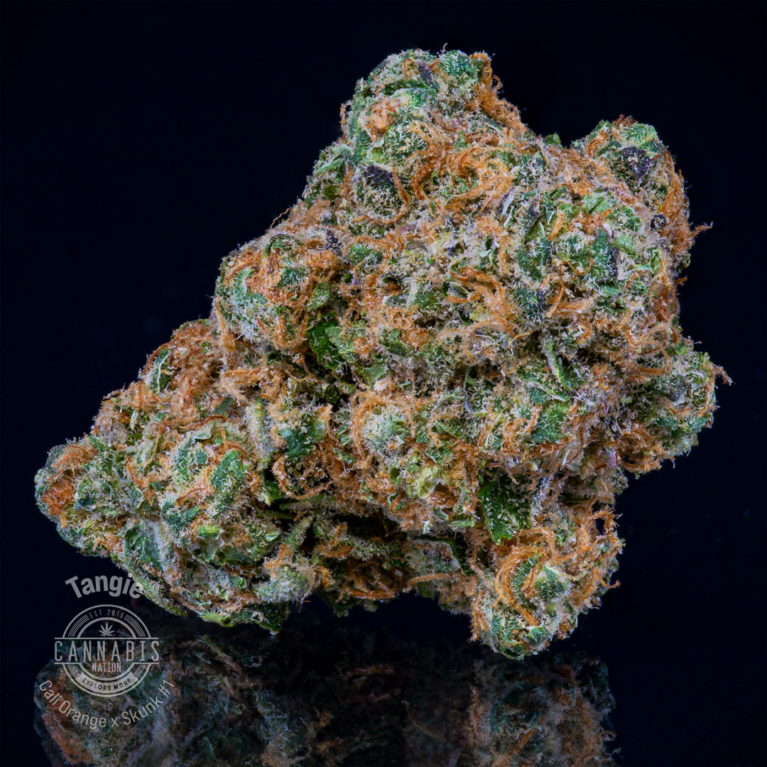 Photograph of product: Flower | Tangie - 14g