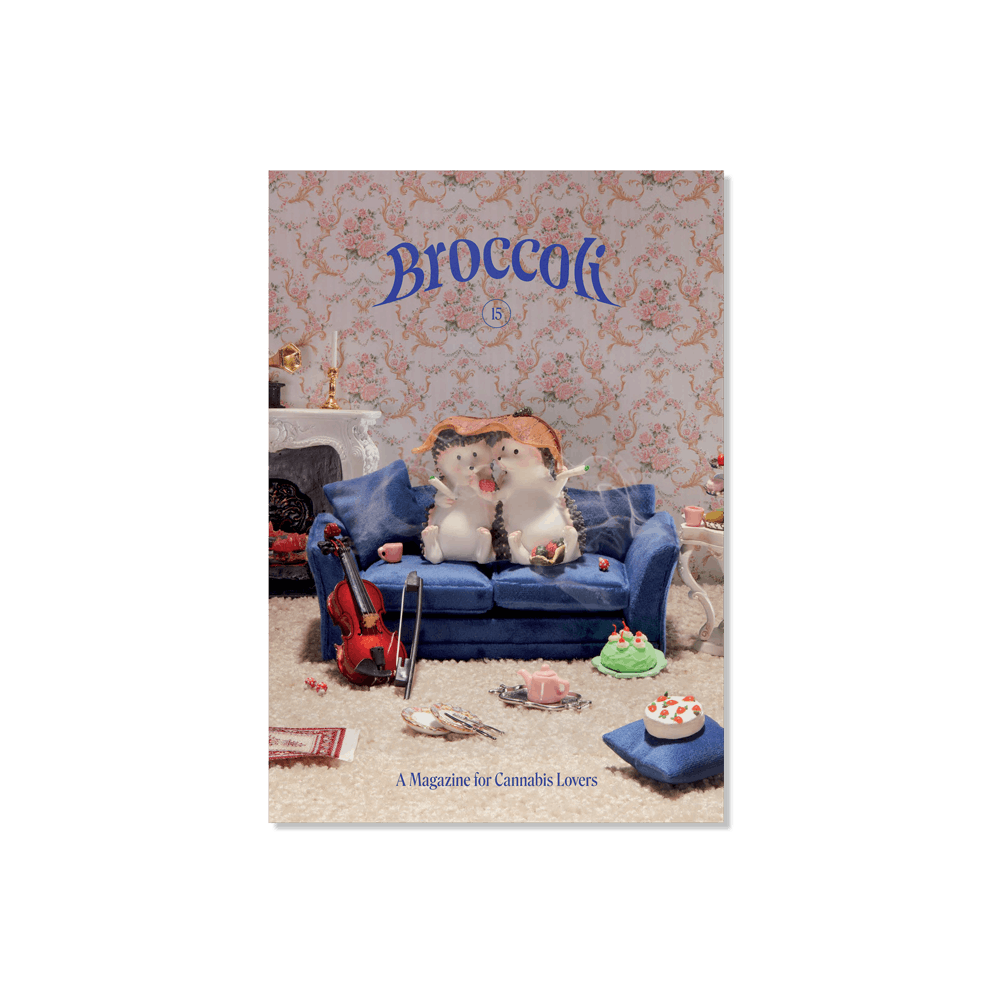 Photograph of product: Broccoli Magazine Issue 15 - 