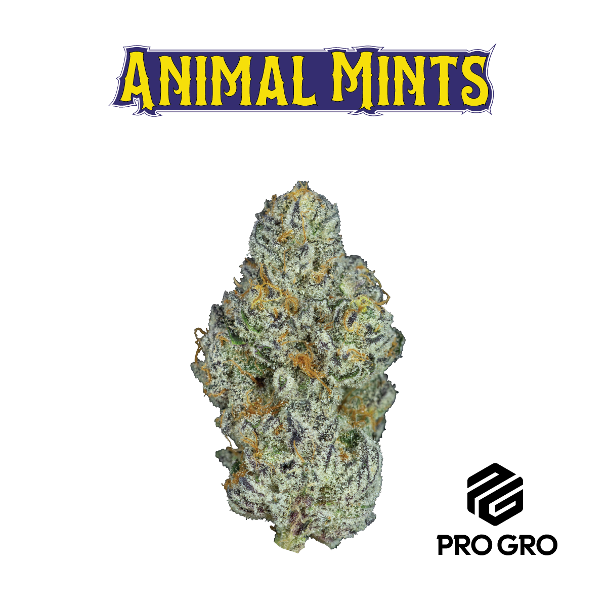 Photograph of product: Zlectrolytes - Deli - 1g