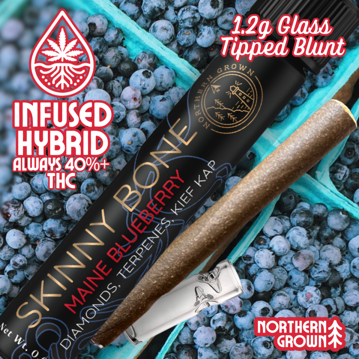 Photograph of product: Maine Blueberry Bliss Skinny Bone Infused Cannagar | Pre Rolls | 1.5g