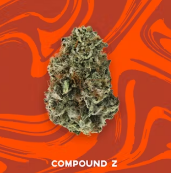 Photograph of product: Compound Z | 3.5g