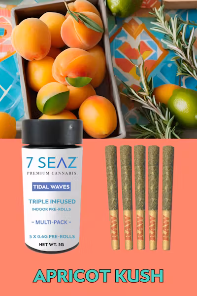 Photograph of product: 7 SEAZ | INFUSED PRE-ROLL | APRICOT KUSH | 5PK | 361