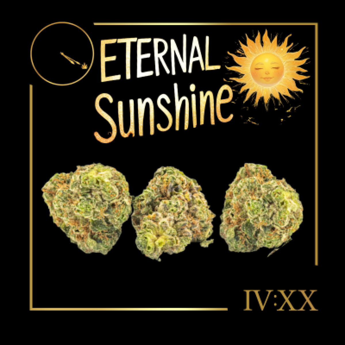 Photograph of product: Eternal Sunshine Flower | 3.5g - Four20