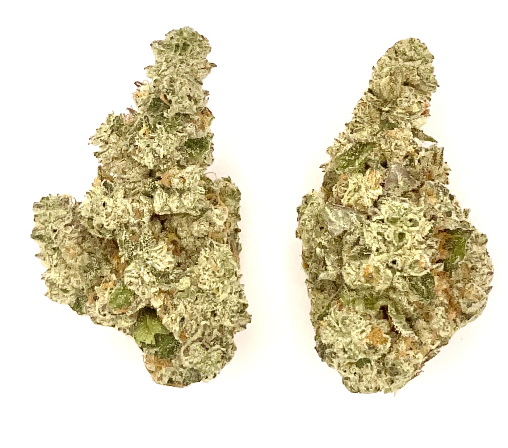 Photograph of product: Buds | Modified Gas - 28g