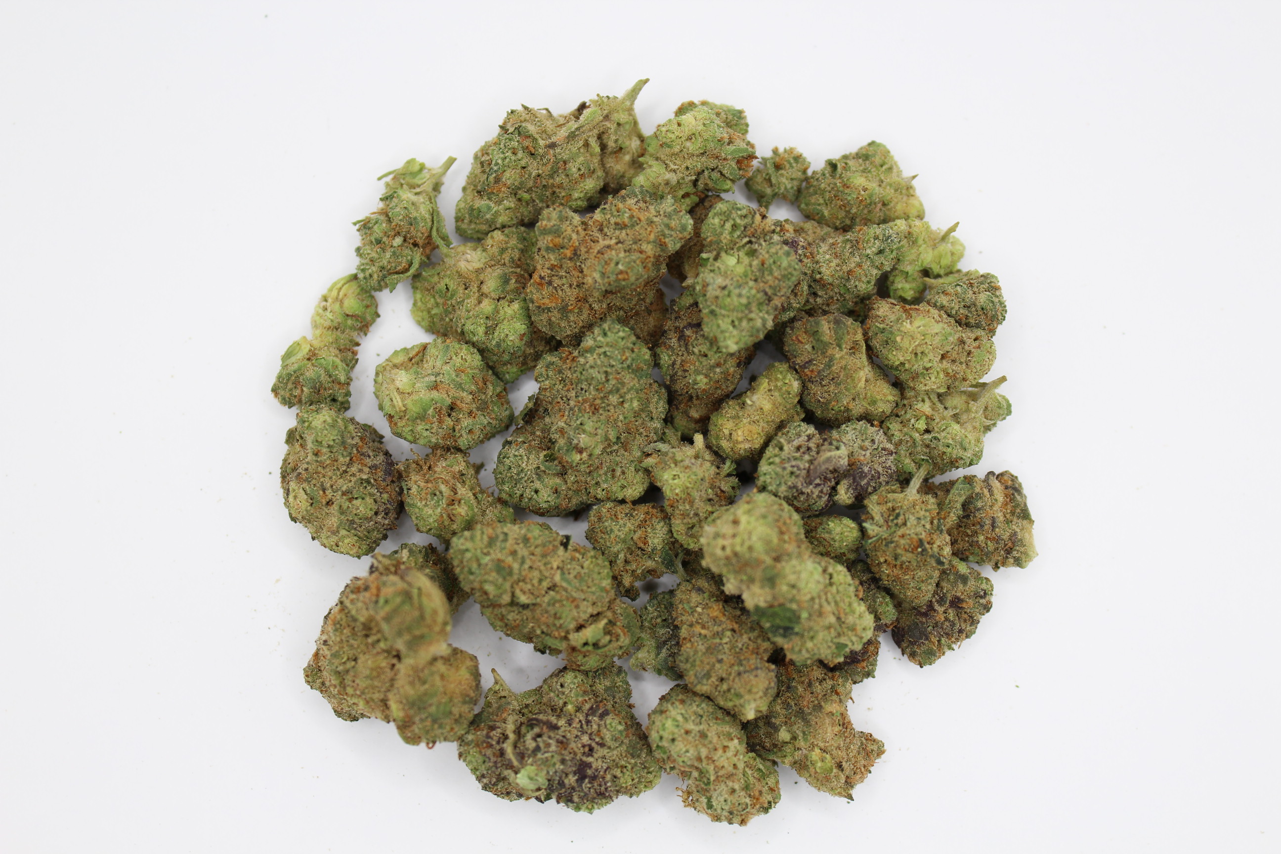 Photograph of product: OGKB Stardawg B-Bud 7g