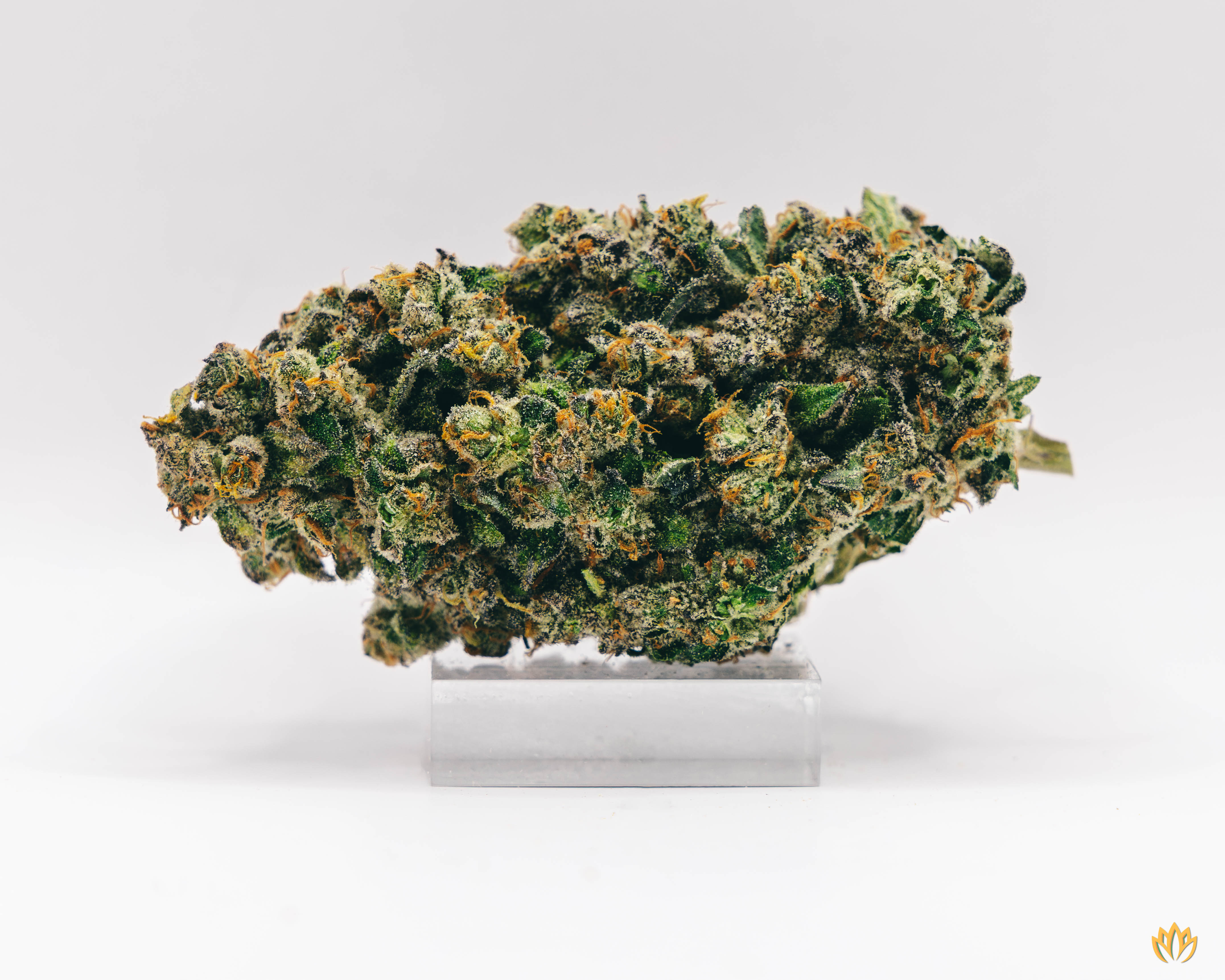 Photograph of product: Jokerz Candy Display - 3.5g