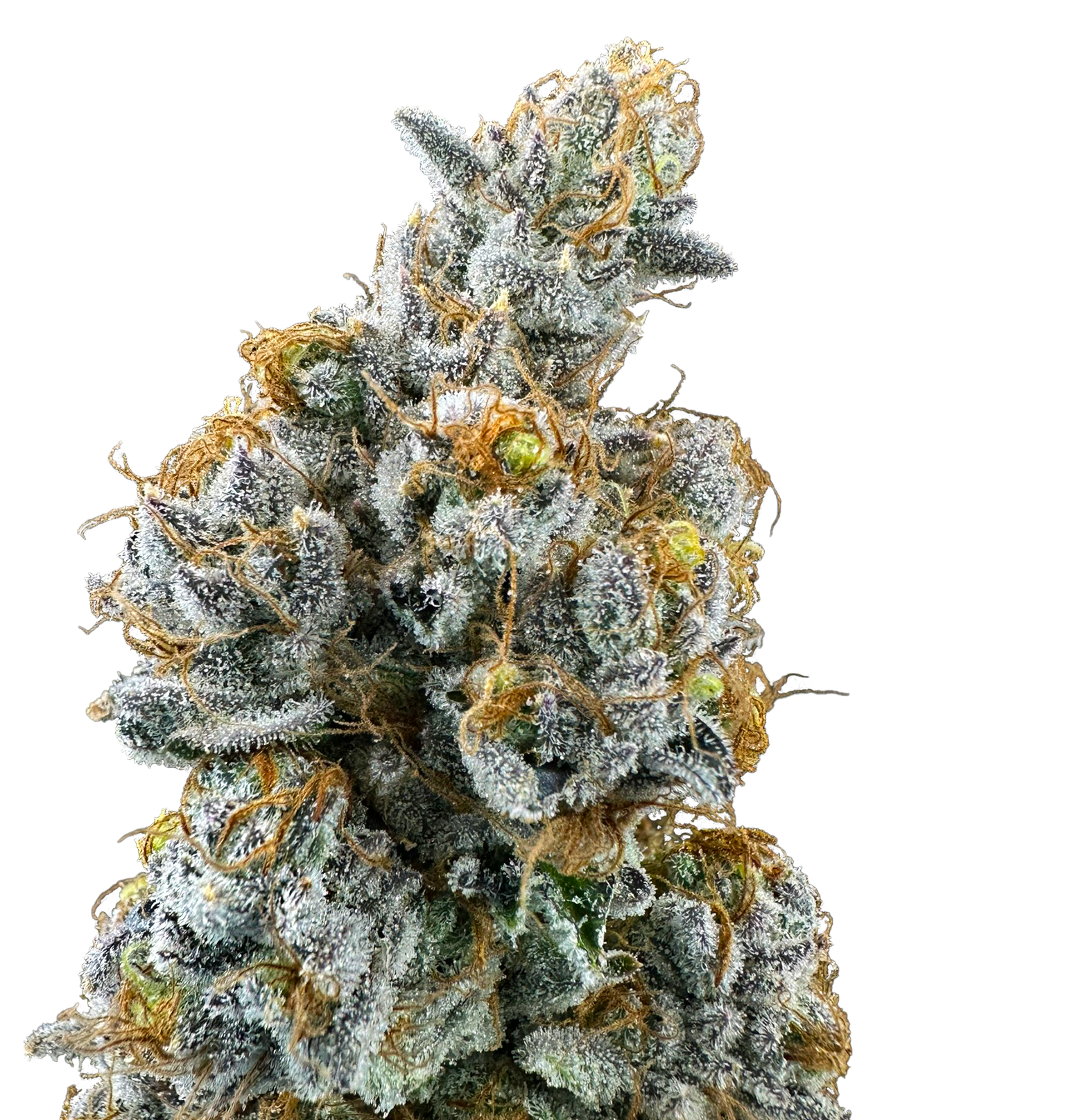 Photograph of Product: Lemon Cake | 1g Pre-Roll | Rooster's Bones