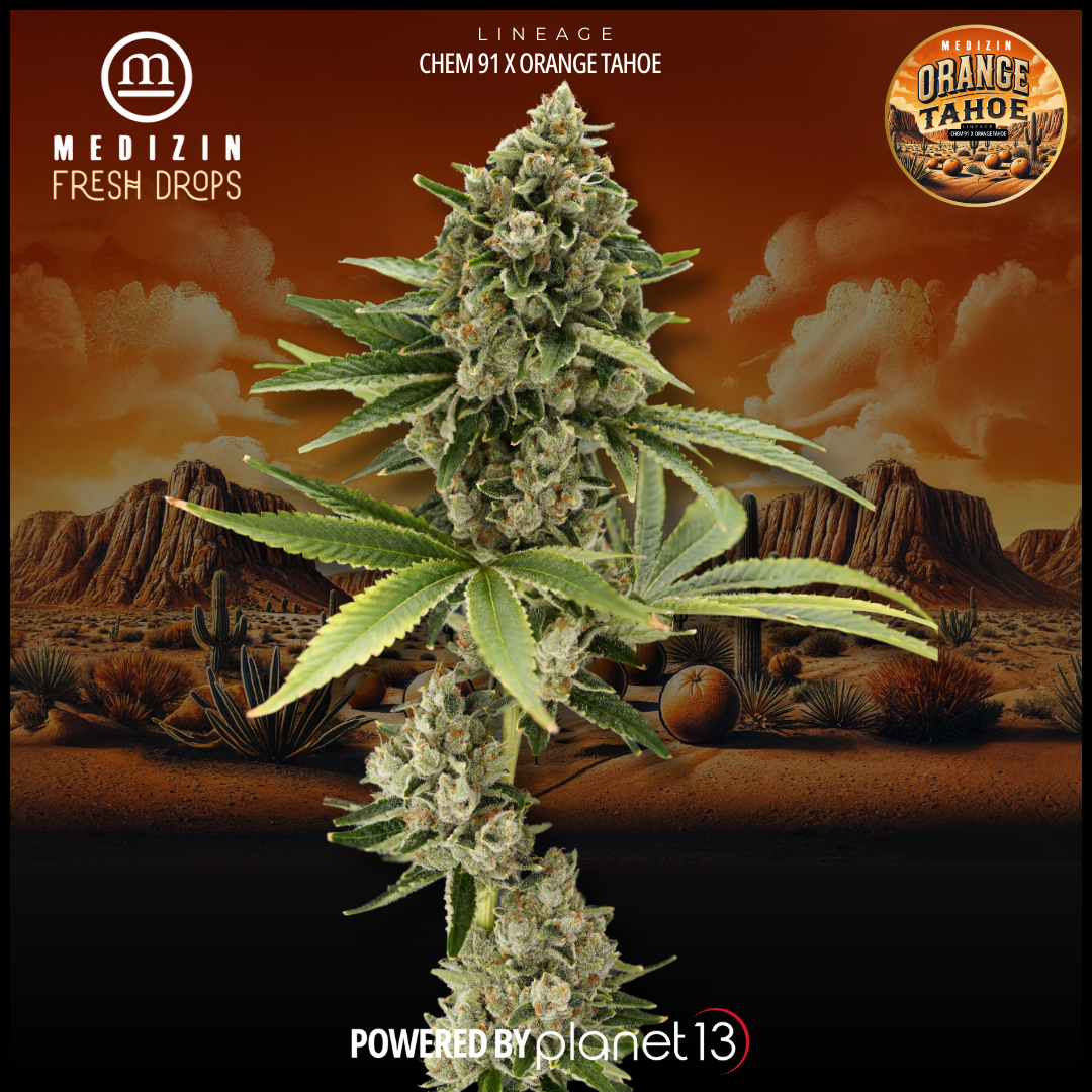 Photograph of product: (39153) Medizin Orange Tahoe - 3.5g