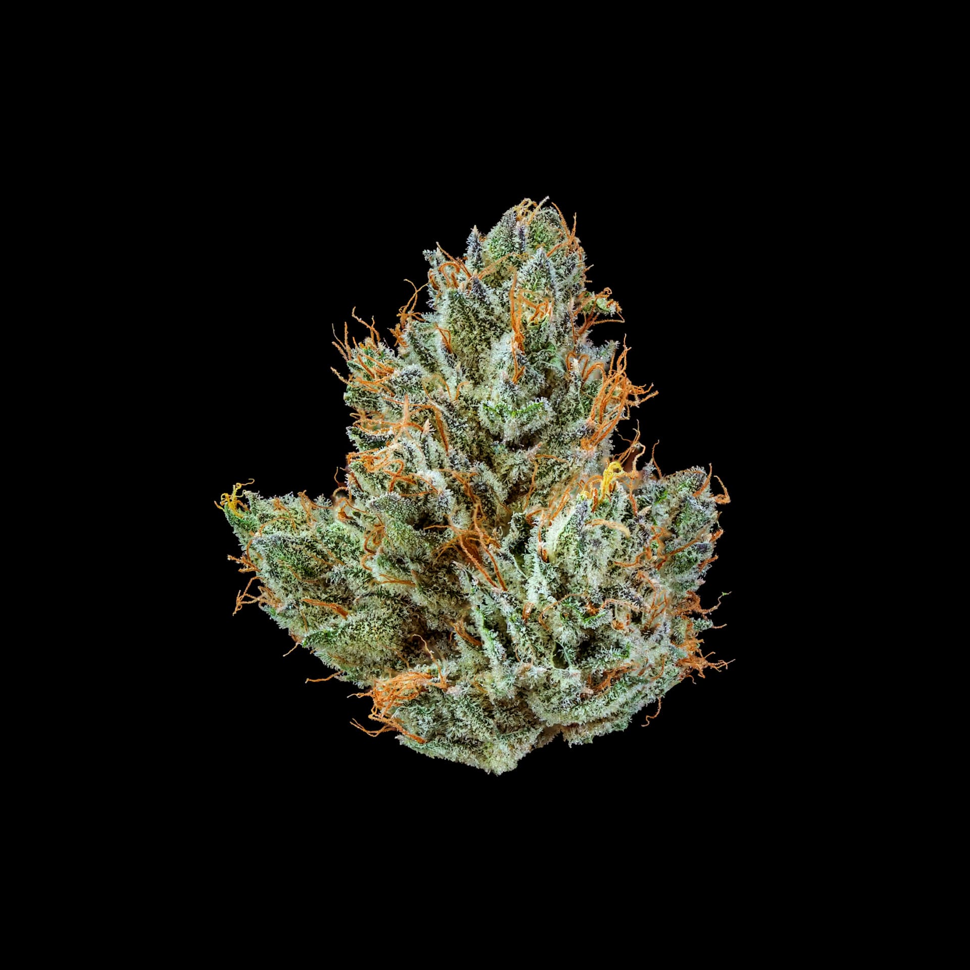 Photograph of product: Mojave | Runtz Your Face Off - 14g