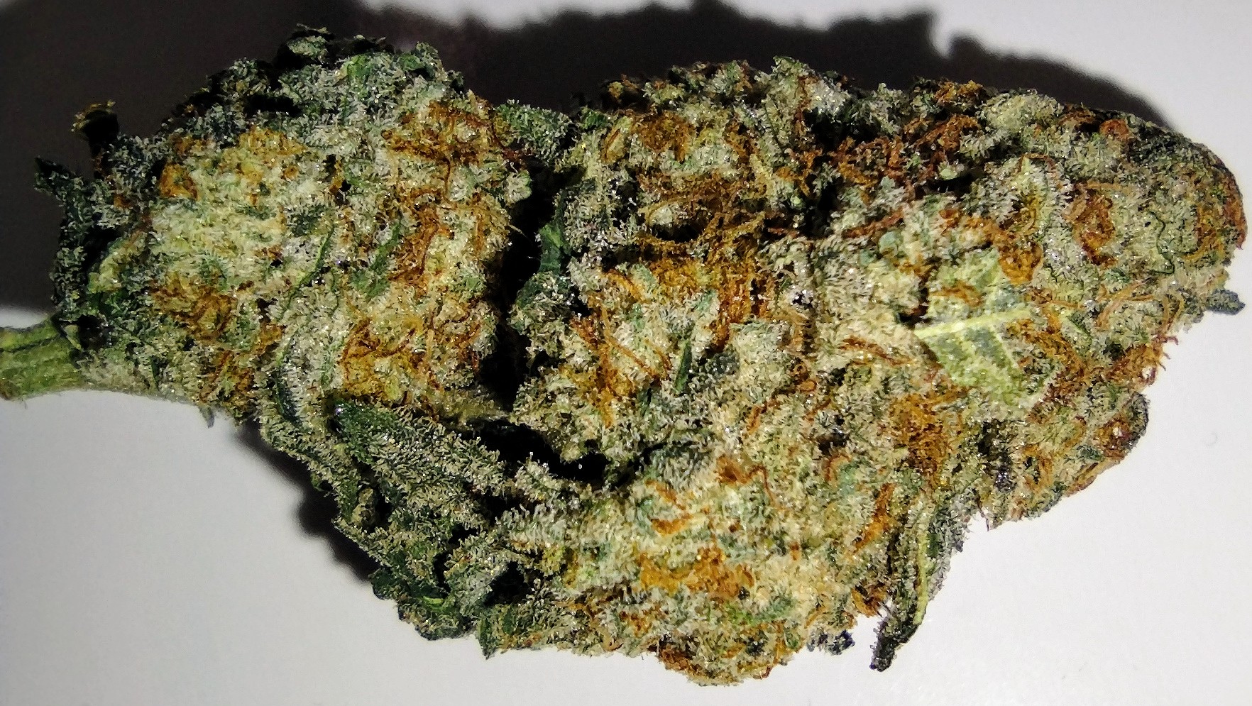 Photograph of product: DNS Farms - Apes in Space -  3.5g - Flower