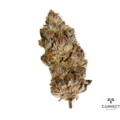 Photograph of product: Cannect Wellness - Flower - Acai Gelato x Sherb (H) - 3.5g