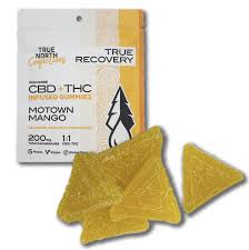 Photograph of product: True North - Motown Mango 1:1 CBD:TH-oui - 5x20mg Gummies - 200mg