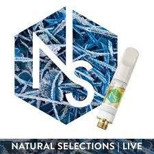 Photograph of product: NATURAL SELECTION | MARSHALLOW OG x PURA VIDA (I/H) CURED RESIN LIQUID DIAMONDS VAPE CARTS