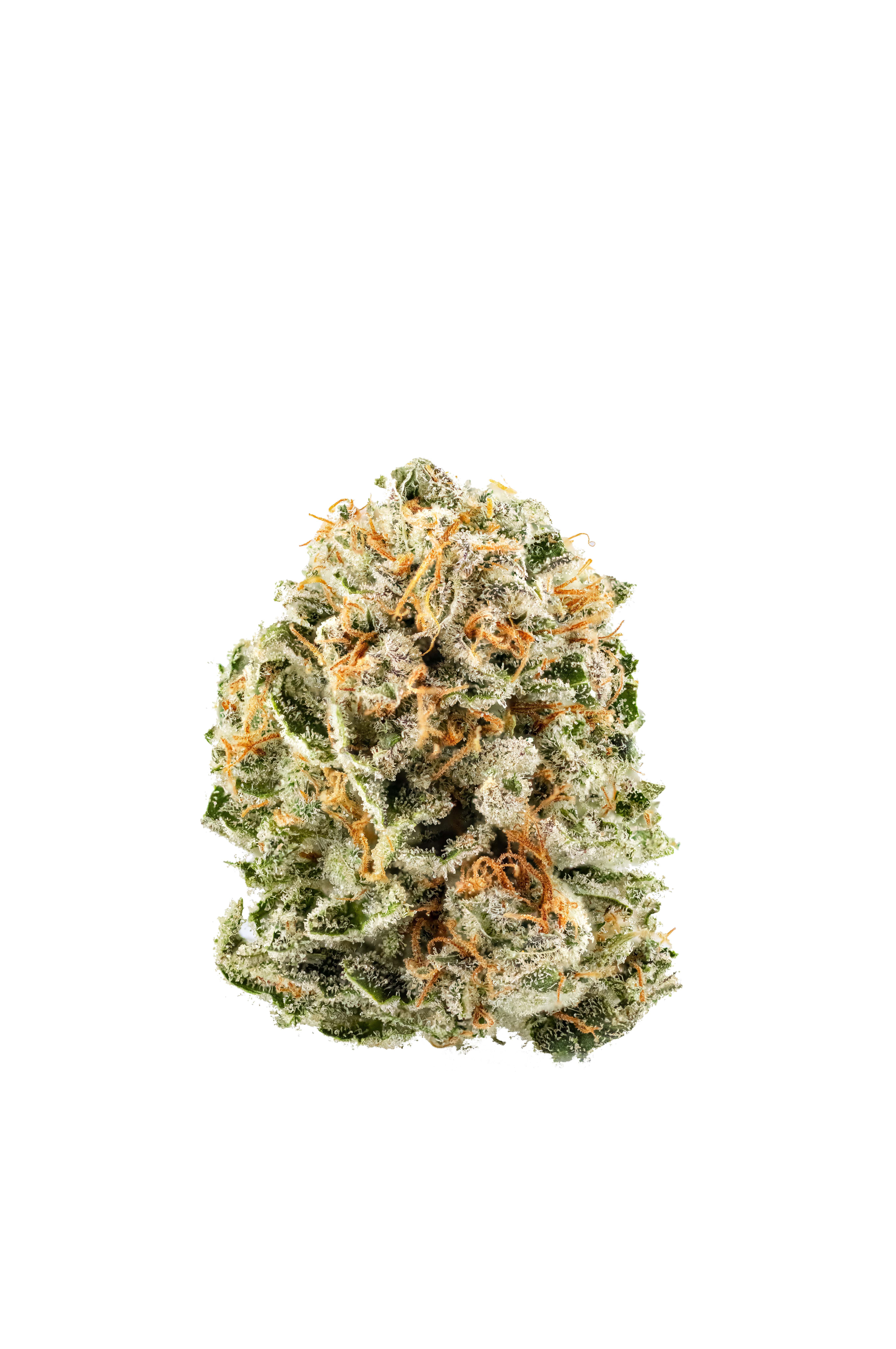 Photograph of product: Lilac Diesel | 3.5g