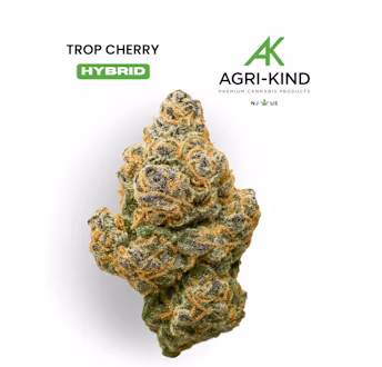 Photograph of product: Trop Cherry - 3.5g