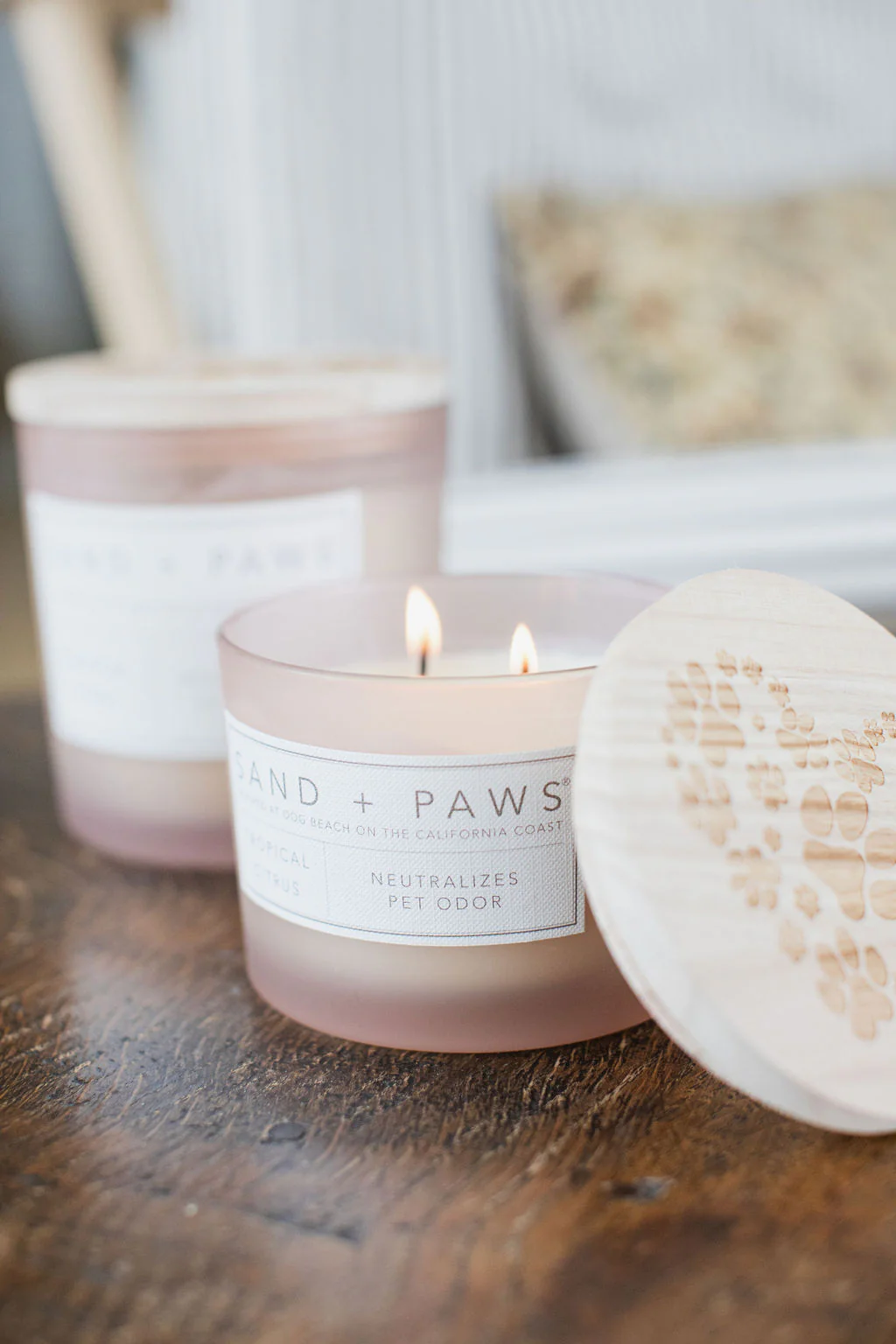 Photograph of product: Tropical Citrus I Candle
