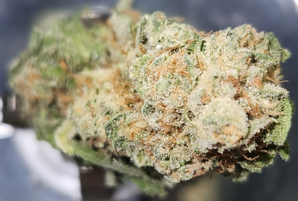 Photograph of product: Bubblegum - (I) - 28g