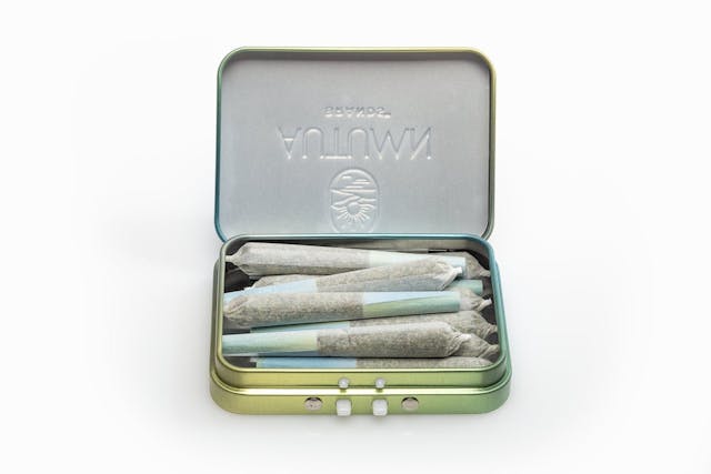 Photograph of product: Orange Dreamsicle 10pk - 