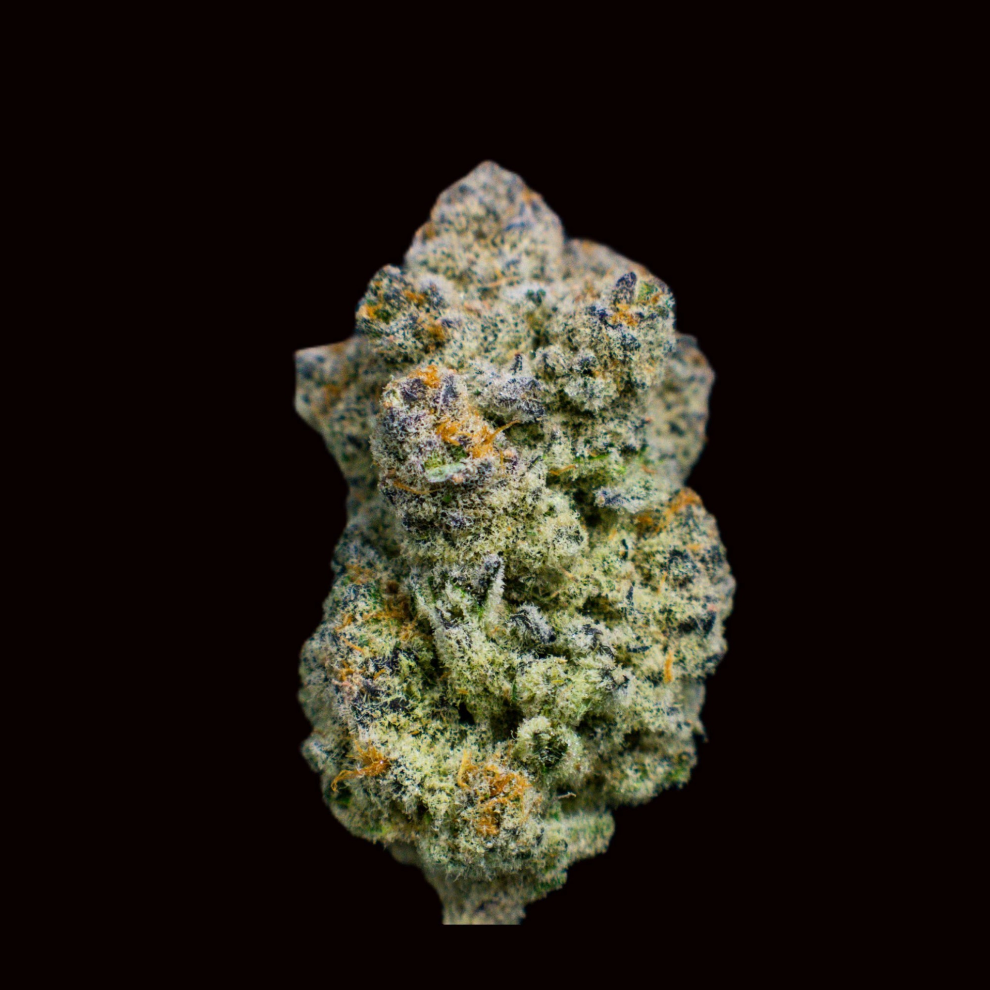 Photograph of Product: The One 1/2 - 14g