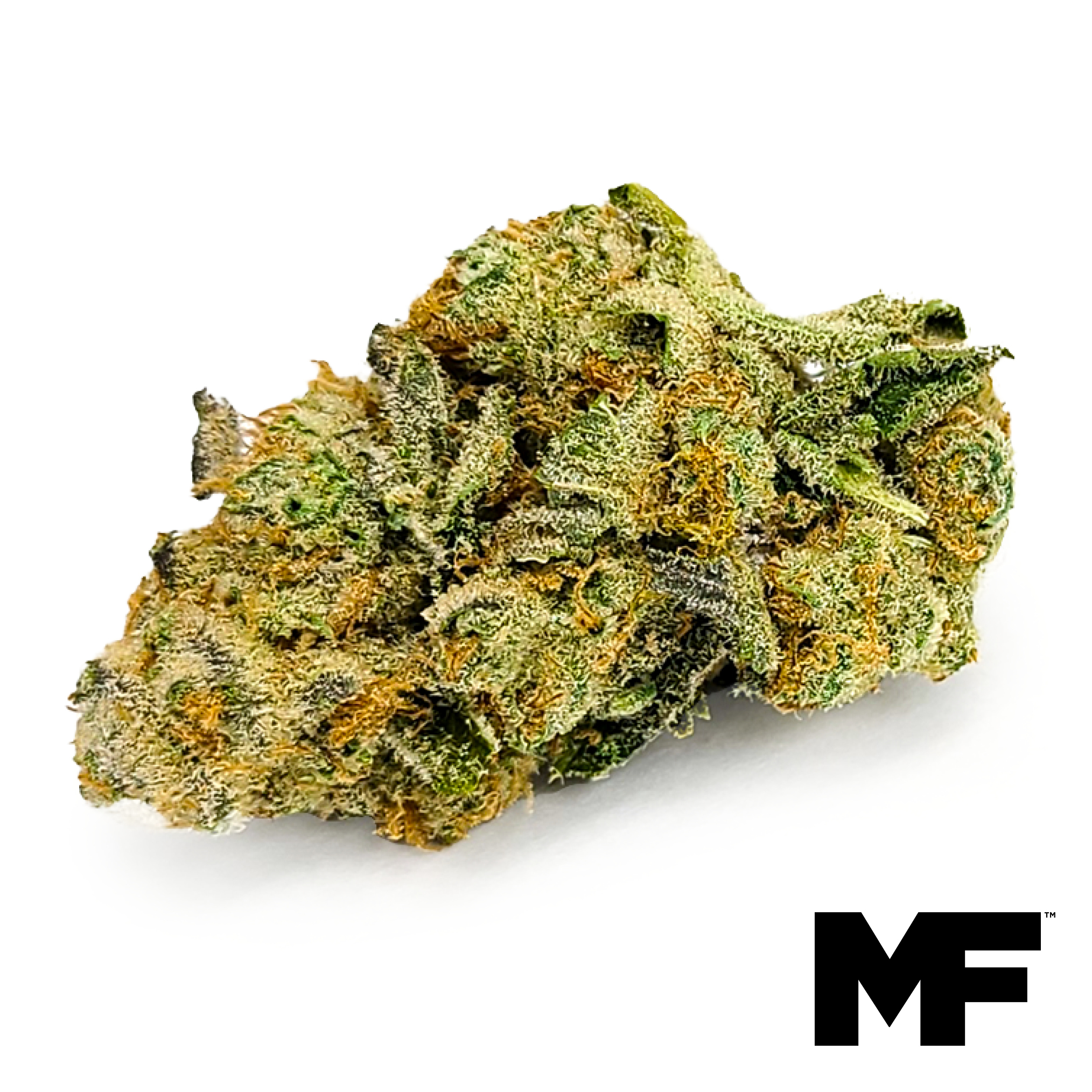 Photograph of product: Garlic Grove | 7g