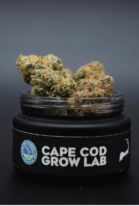Photograph of product: Midnight | 7g | Small Buds