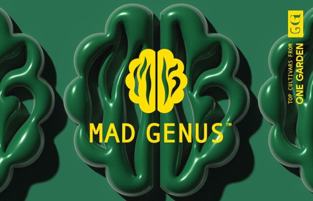 Photograph of product: Pav | Premium Deli Flower - 70g