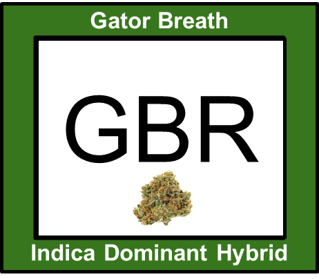 Photograph of product: Gator Breath 14g - 70/30 Oui'd Hybrid - Flora Farms