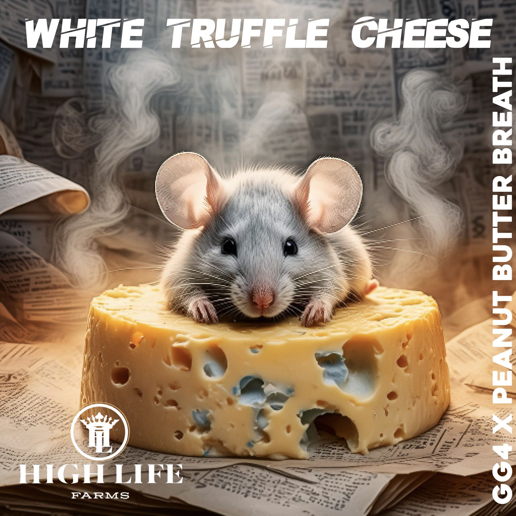 Photograph of product: HIGH LIFE FARMS WHITE TRUFFLE CHEESE BULK - 3.5g