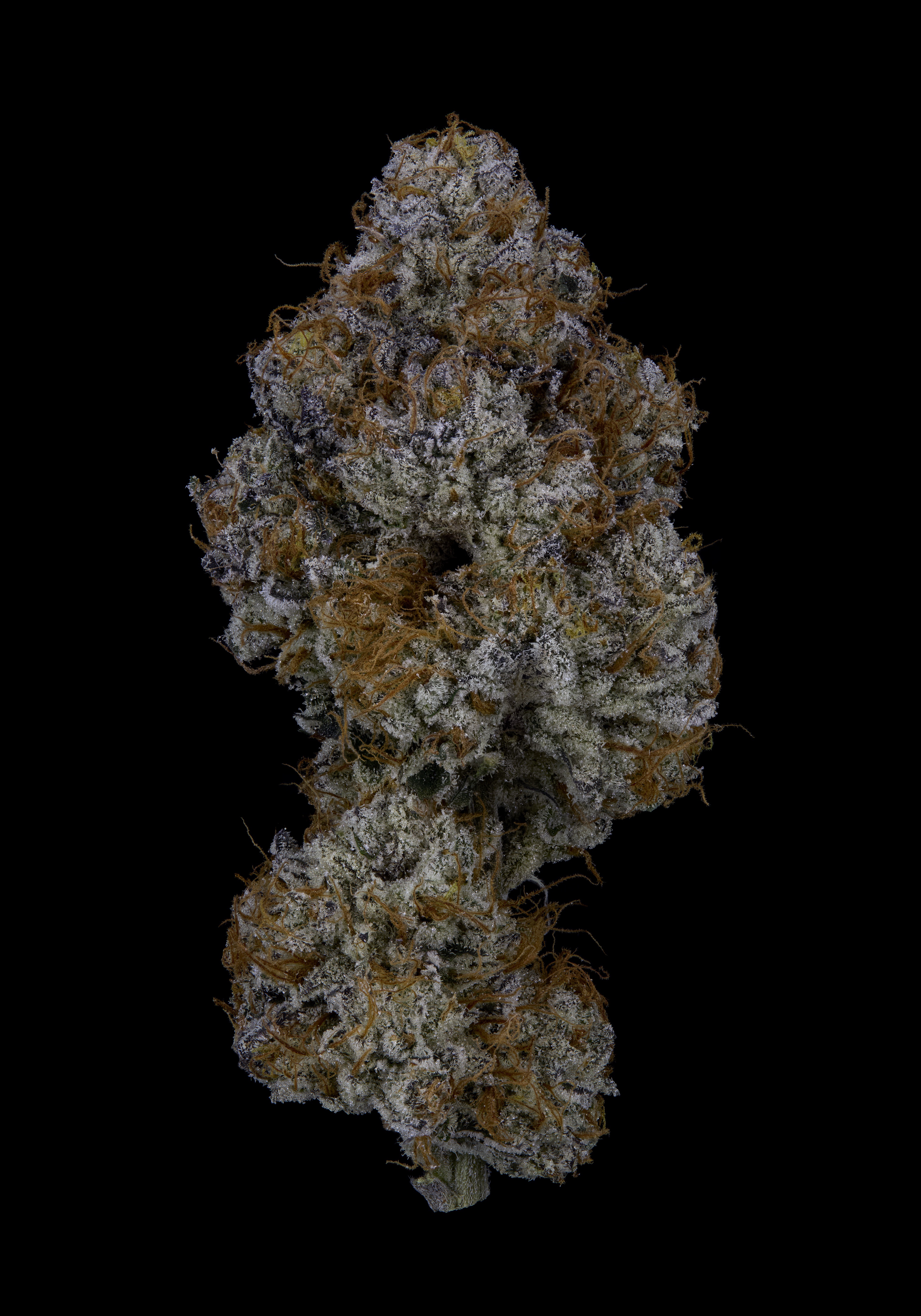 Photograph of product: Good Life Gardens: Road Rage OG - 28g