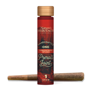 Photograph of product: Nature's Heritage - Orange Chemeleon - Bubble au chocolat Infused Pre-Roll - 1g