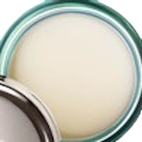 Photograph of product: Wise Owl Apothecary - .3oz Lip Budder 15mg CBD