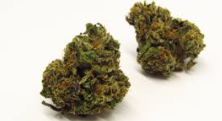 Photograph of product: Donnie Burger | Glorious Oui'd Co. - 1g