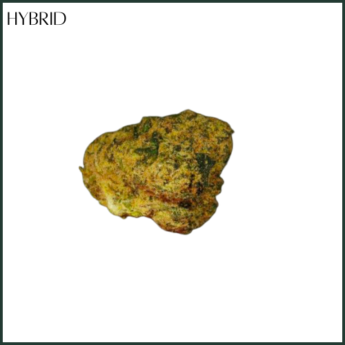 Photograph of product: Corner Store | Kandy | Flower - 3.5g