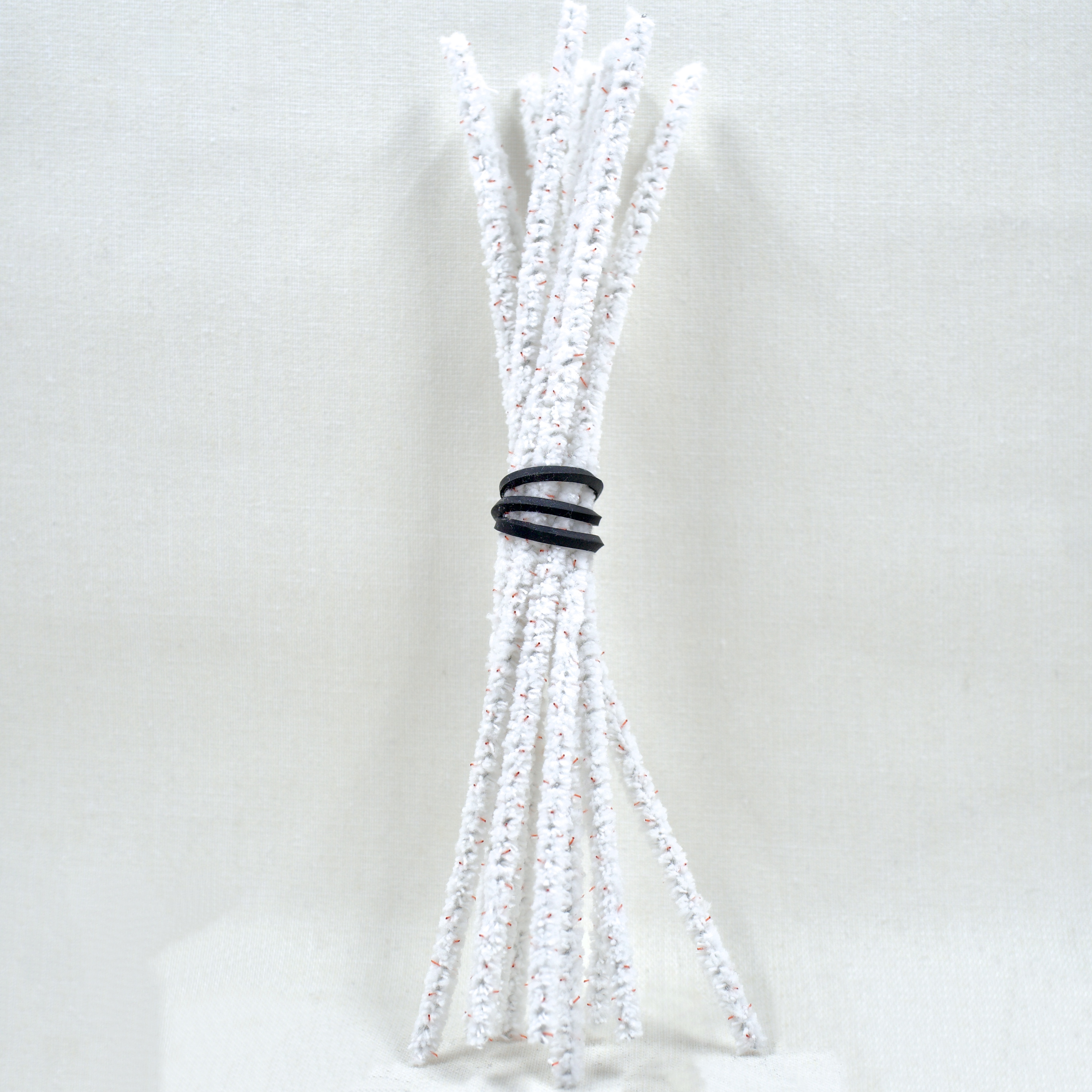 Photograph of product: Pipe cleaners | 10pk