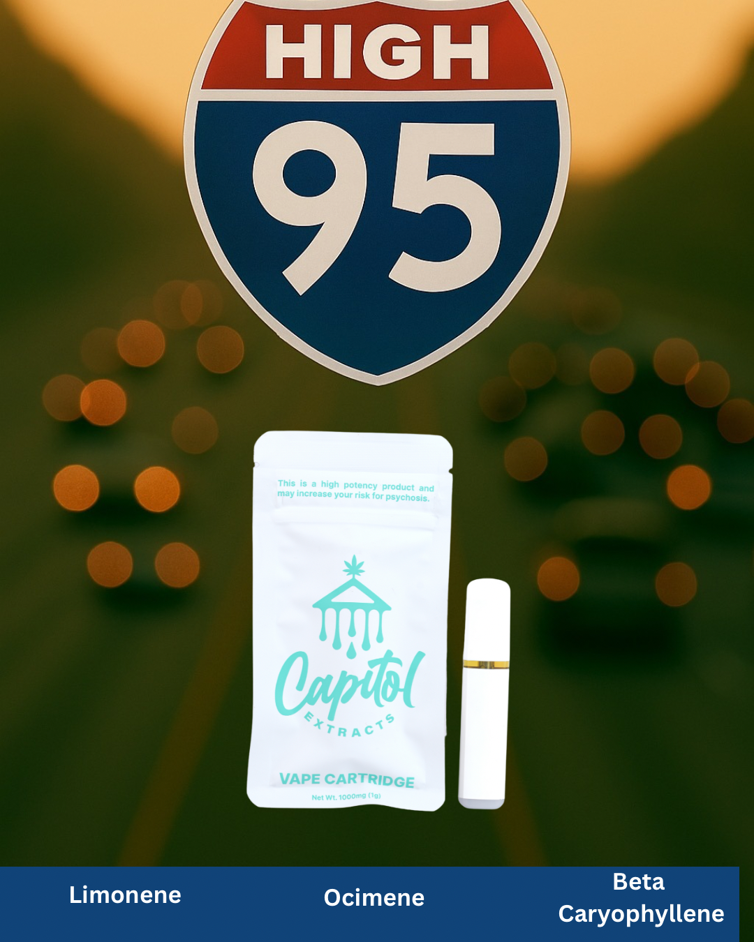 Photograph of product: High 95 - Disposable - 1g