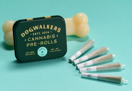 Photograph of product: 5pk Brownie Scout "Sit" Pre-Rolls | 0.35g